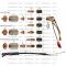 PAC123T® Hand Torch with Lead 7,6m (25’), код 086002, POWERMAX 600®   PAC123T/M®