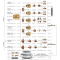 Nozzle 0,9 70/80A, код 11.843.021.409, HiFocus160i®   PerCut 160®/PerCut 170®