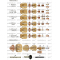 Nozzle Cap (12x1,5 45°ccw), код 11.836.901.1641, HiFocus 280® / HiFocus 360®, HiFocus 440®   PerCut 370.1®, PerCut 370.2®